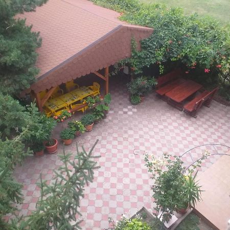 Pensiunea Paradis Vrâncean Cotesti (Vrancea) Exterior foto