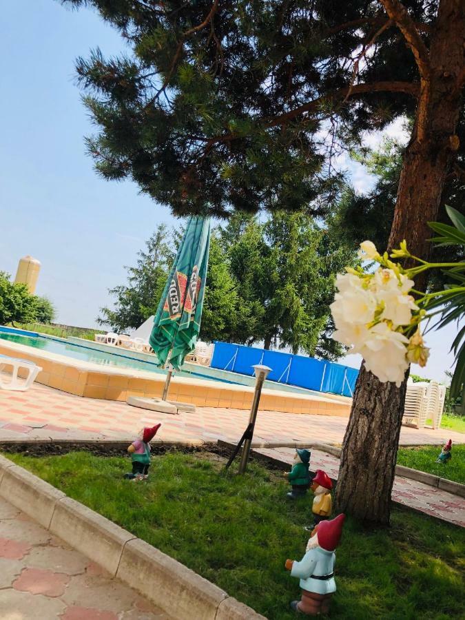 Pensiunea Paradis Vrâncean Cotesti (Vrancea) Exterior foto